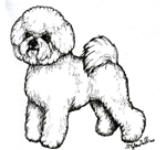 images/Razze/Sezione1/Bicon_a_Poli_frise/thumb_Bichon a Poil Frise.jpg